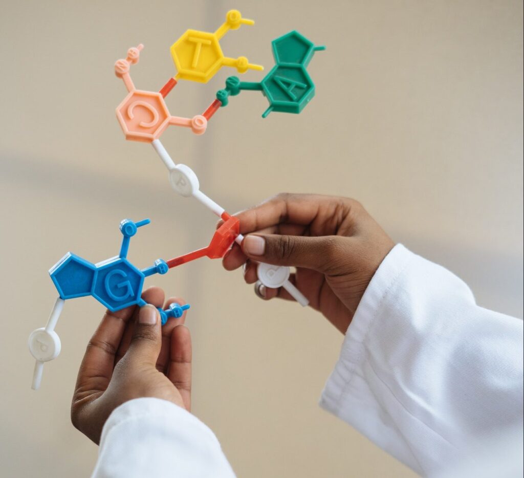 Switch Edu Online | Online School